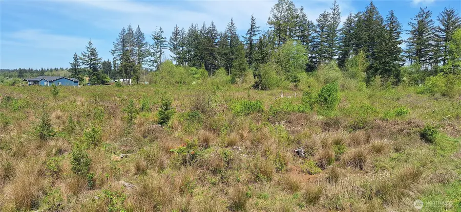 123 Meier Road, Winlock, WA 98596 - #3
