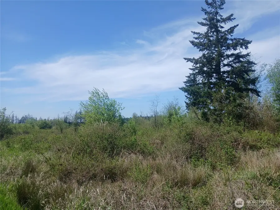 456 Meier Road, Winlock, WA 98596 - #2