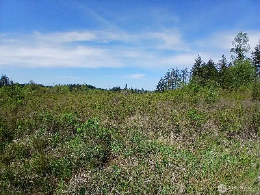 456 Meier Road, Winlock, WA 98596 - #3