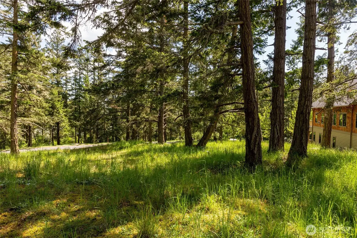 24 Mossyrock Road #24, Friday Harbor, WA 98250 - #1