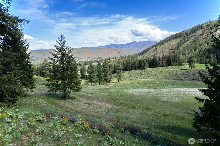 102 Elbow Canyon Road, Twisp, WA 98856 - #3