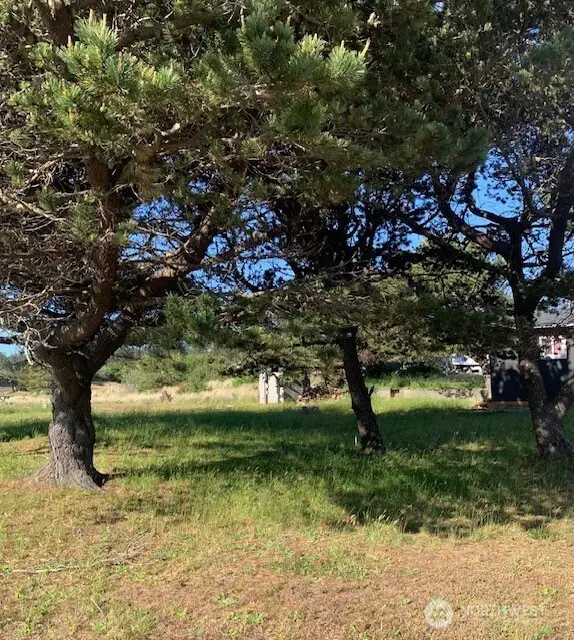 805 353rd Place #Lot 20, Ocean Park, WA 98640 - #3