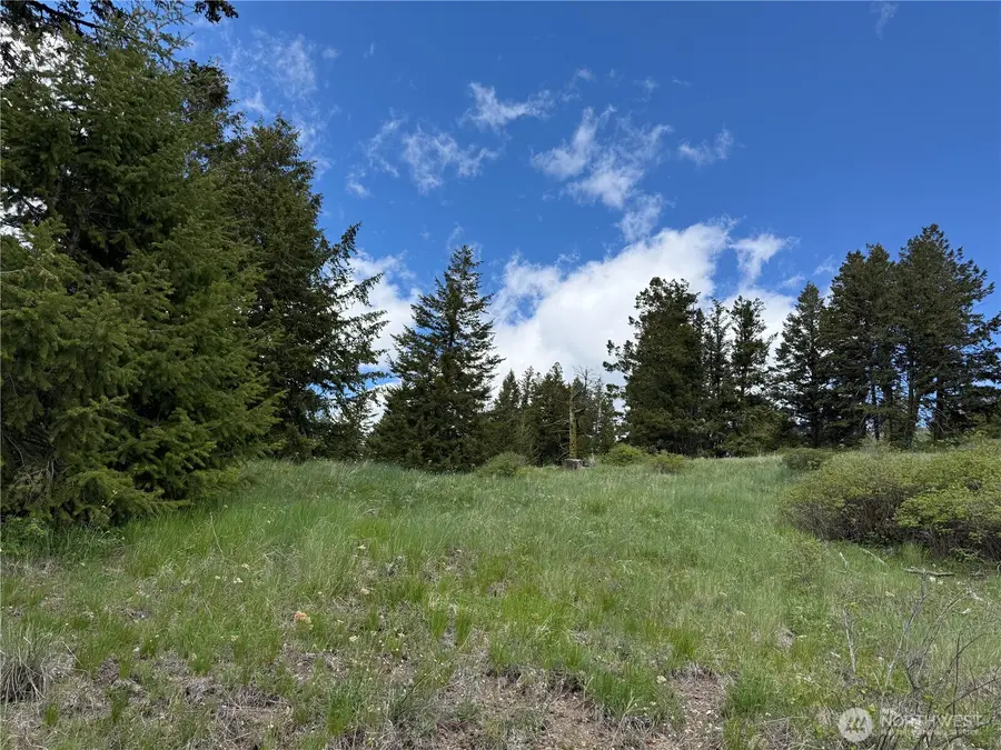 0 Toroda Creek Road, Wauconda, WA 98859 - #2