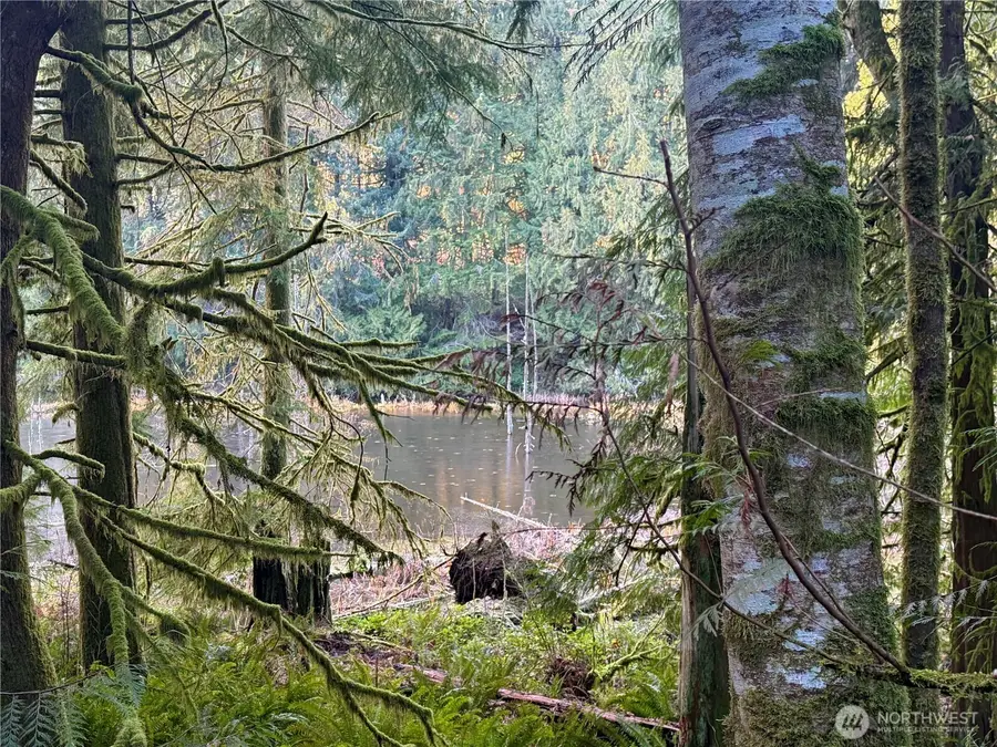 75 E Lakewood Drive #Lot E, Belfair, WA 98528 - #2