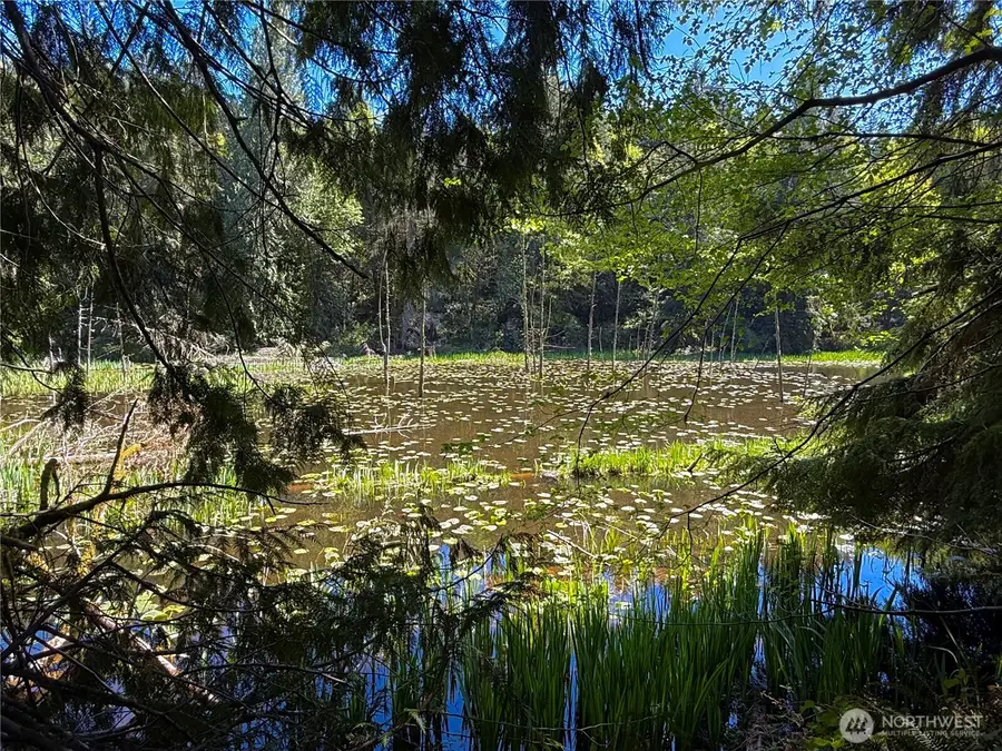 105 E Lakewood Drive #Lot 10A, Belfair, WA 98528 - #3