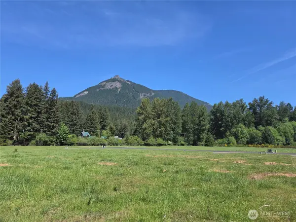123 Campfire Lane #8, Packwood, WA 98361