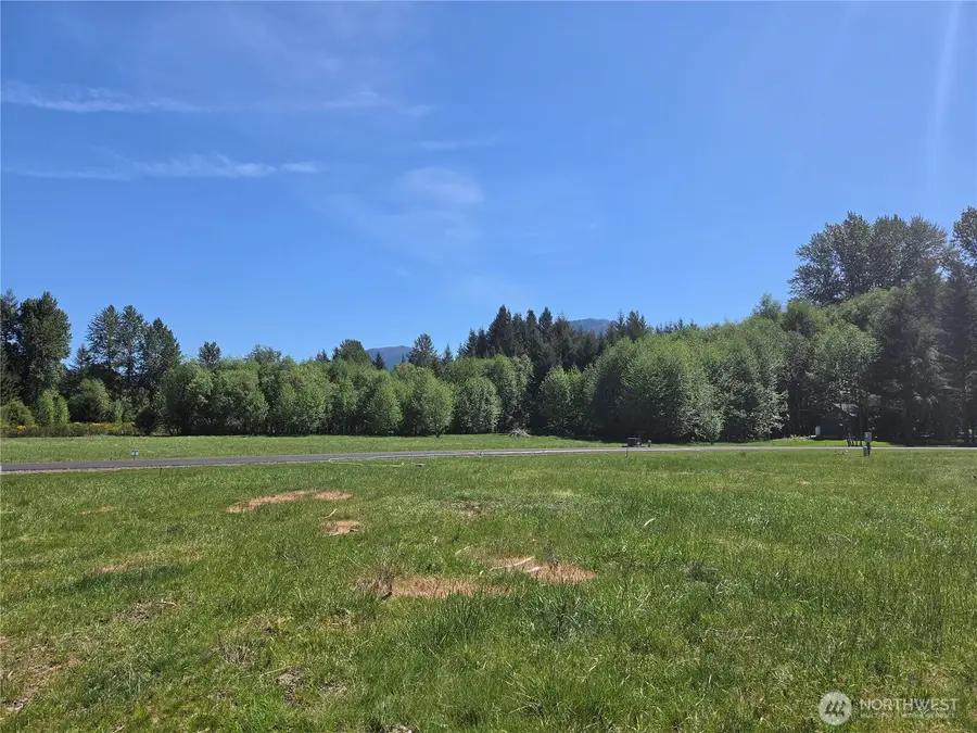 123 Campfire Lane #8, Packwood, WA 98361 - #2