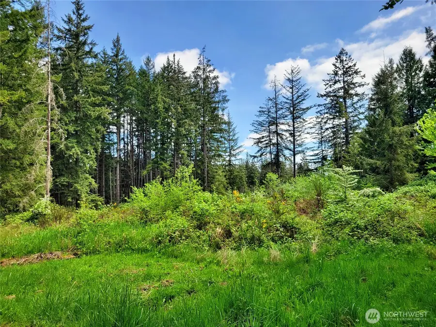213 Sommerville Road, Chehalis, WA 98532 - #2