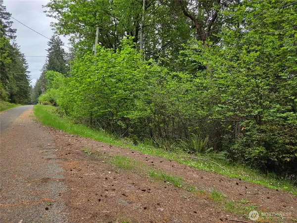 181 E Peale Drive #219015000063, Shelton, WA 98584