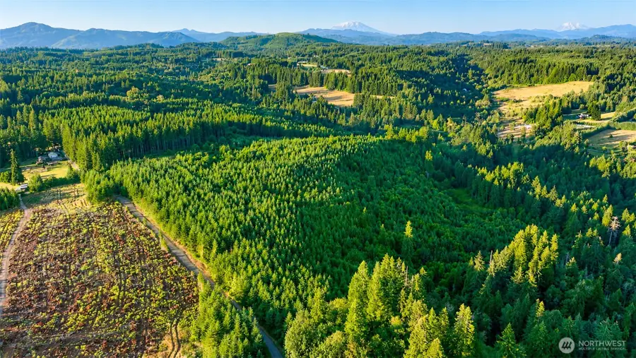 0 NE Finalburg Road, La Center, WA 98629 - #3