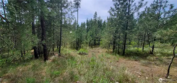 6 Okanogan River Ranches Div 1 #1, Tonasket, WA 98855