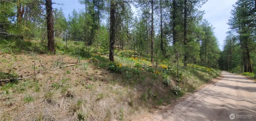 6 Okanogan River Ranches Div 1 #1, Tonasket, WA 98855 - #3