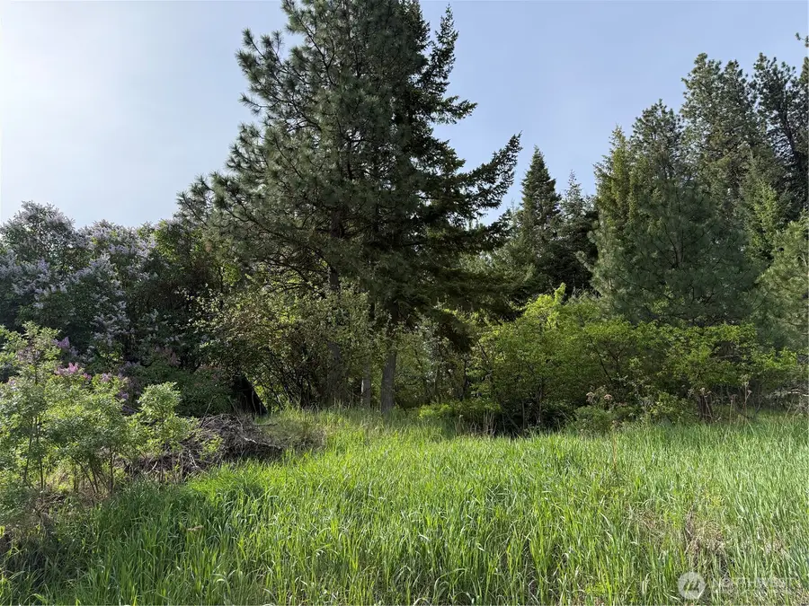 4 5th St Alley #Lot 4, Roslyn, WA 98941 - #2