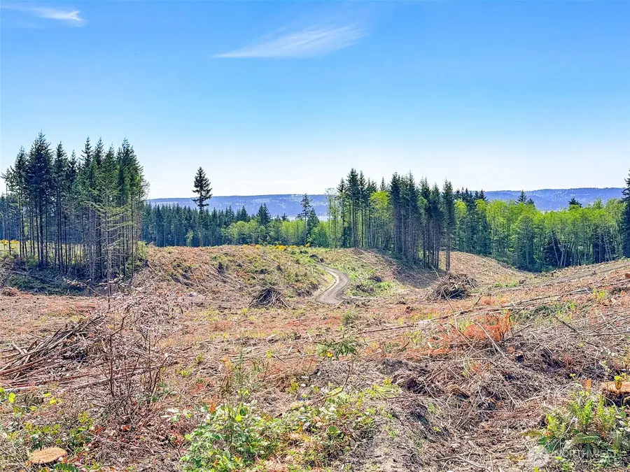 1 Teal Lake Road, Port Ludlow, WA 98365 - #2
