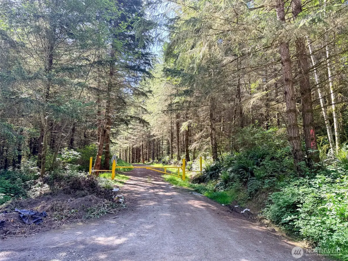 1 Andy Cooper Road, Port Ludlow, WA 98365 - #1