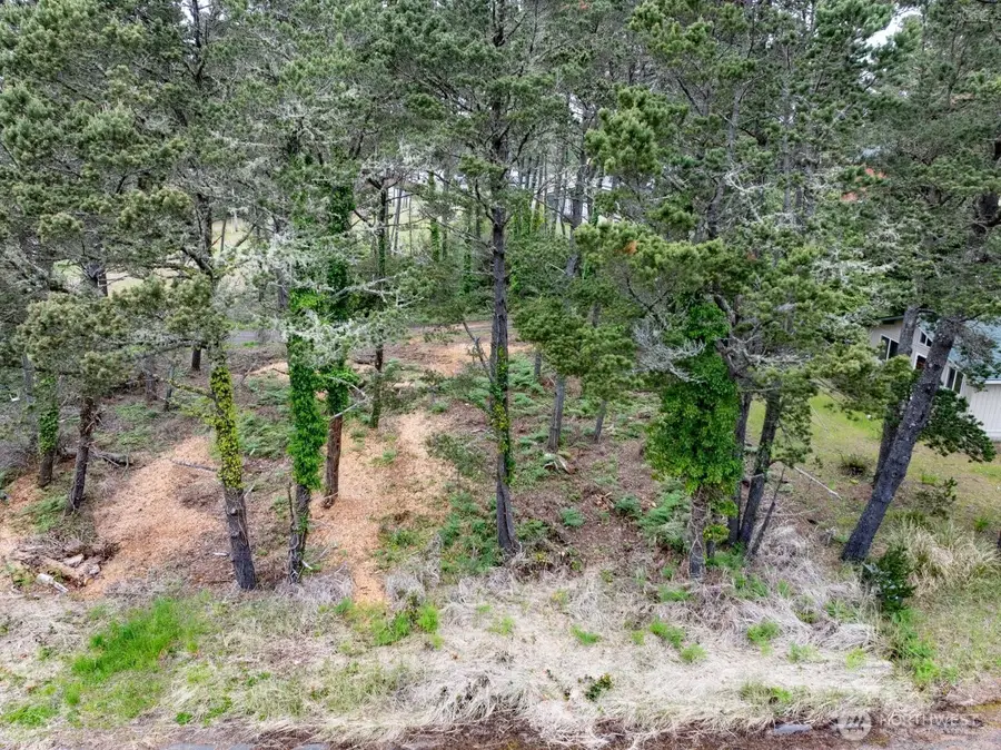 0 213th Place #4, Ocean Park, WA 98640 - #2