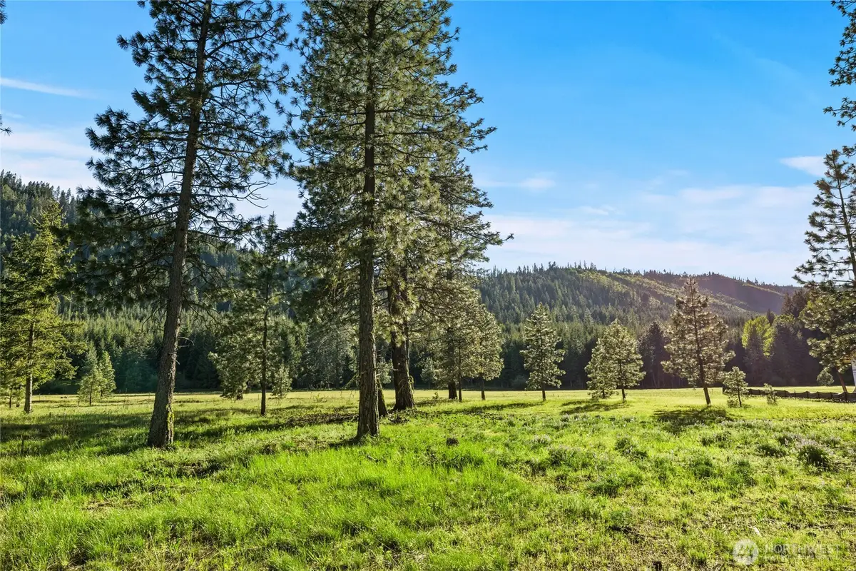 20 Domerie Park Loop #20, Cle Elum, WA 98922 - #1