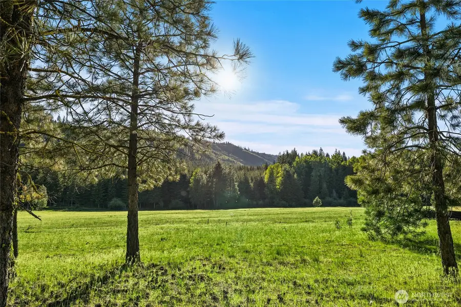 20 Domerie Park Loop #20, Cle Elum, WA 98922 - #2