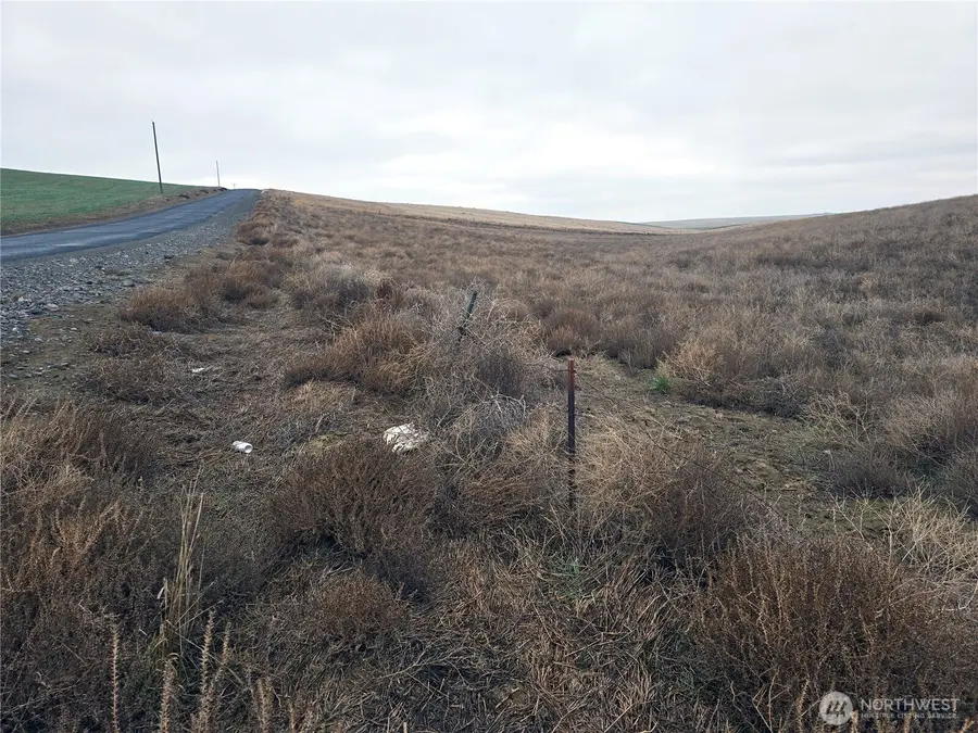 4200 Wadsworth Road, Kahlotus, WA 99335 - #2