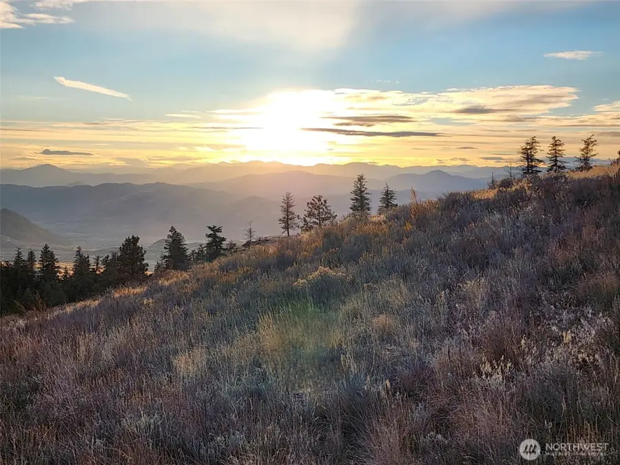 0 Blue Grouse (div 5, Lot 42) #42, Oroville, WA 98844 - #2