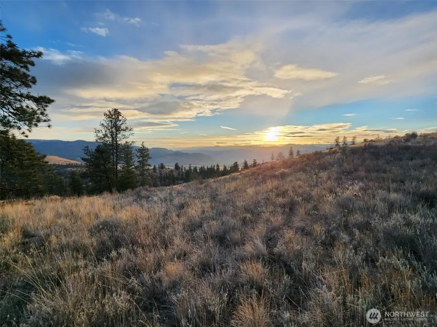 0 Blue Grouse (div 5, Lot 42) #42, Oroville, WA 98844 - #3