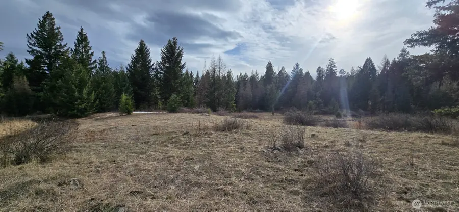 99 Prior Loop Road, Oroville, WA 98844 - #2