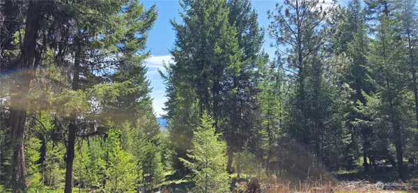 111 Tbd Wannamaker Rd, Oroville, WA 98844