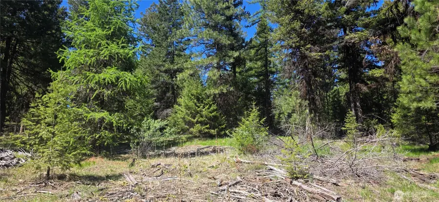 111 Tbd Wannamaker Rd, Oroville, WA 98844 - #2