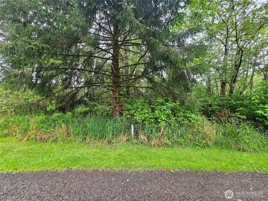 0 Patricia Drive, Copalis Beach, WA 98535 - #3