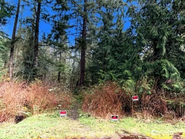 0 441st Avenue Se, North Bend, WA 98045 - #1