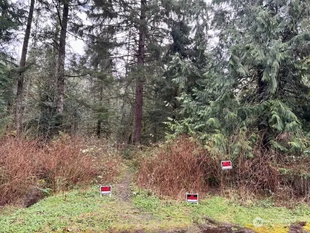 0 441st Avenue Se, North Bend, WA 98045 - #2