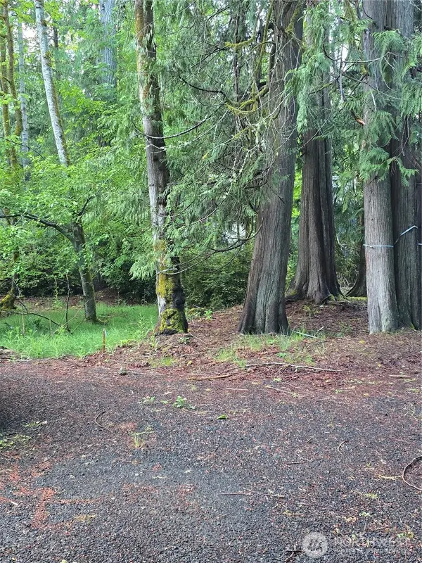 441 E Pointes Drive E #71, Shelton, WA 98584