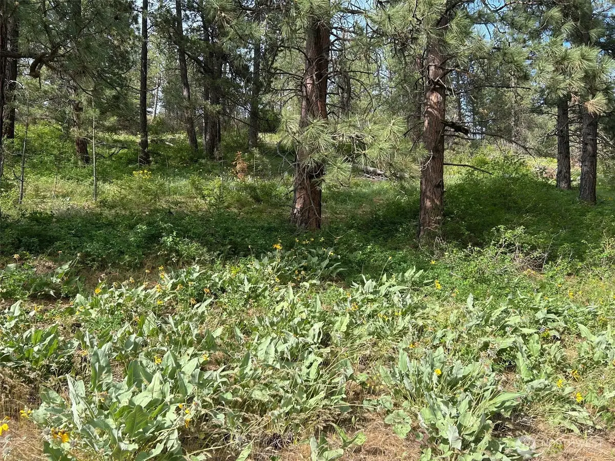 0 W 6th Street, Cle Elum, WA 98922 - #1