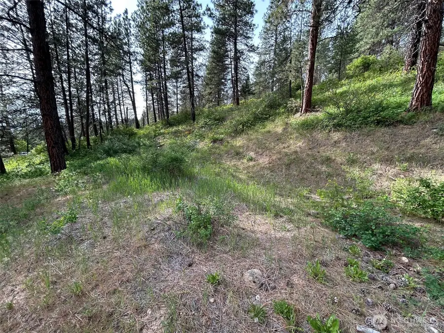 0 W 6th Street, Cle Elum, WA 98922 - #3