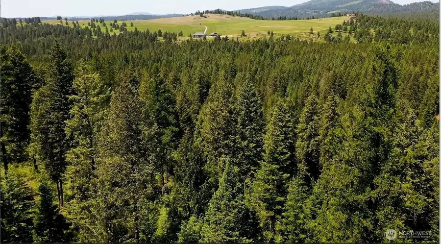 Address Withheld By Seller, Elk, WA 99009 - #3