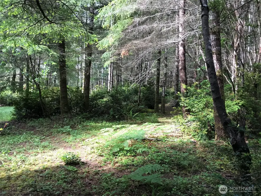 323 E Pickering Road, Shelton, WA 98584 - #3
