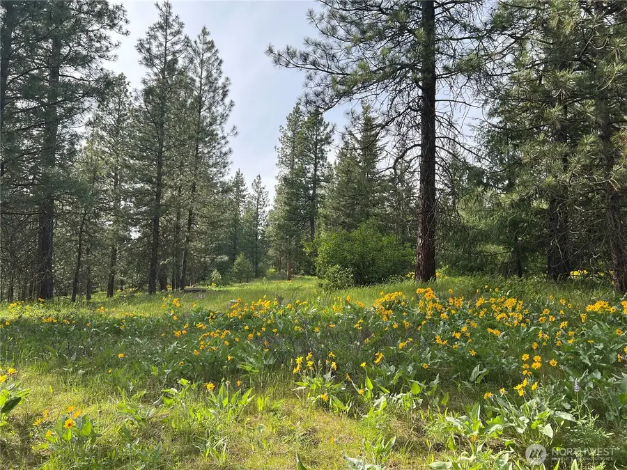 740 Sun Ridge Drive #1, Cle Elum, WA 98922 - #3