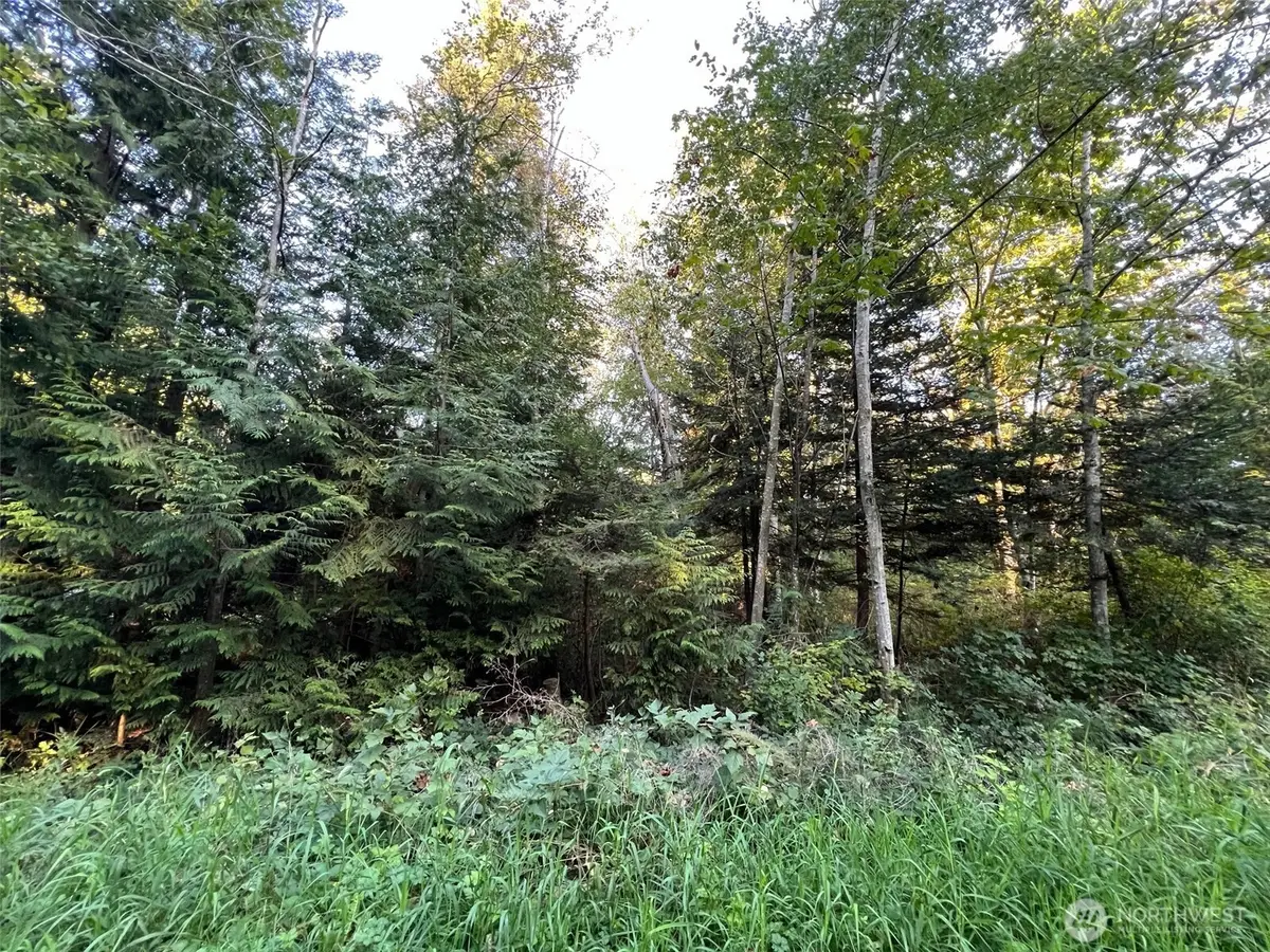 10 Rex Street #10, Point Roberts, WA 98281 - #1