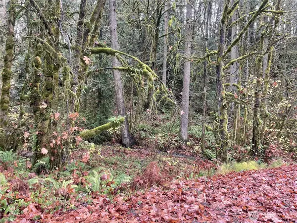 0 Wa 505, Toledo, WA 98591