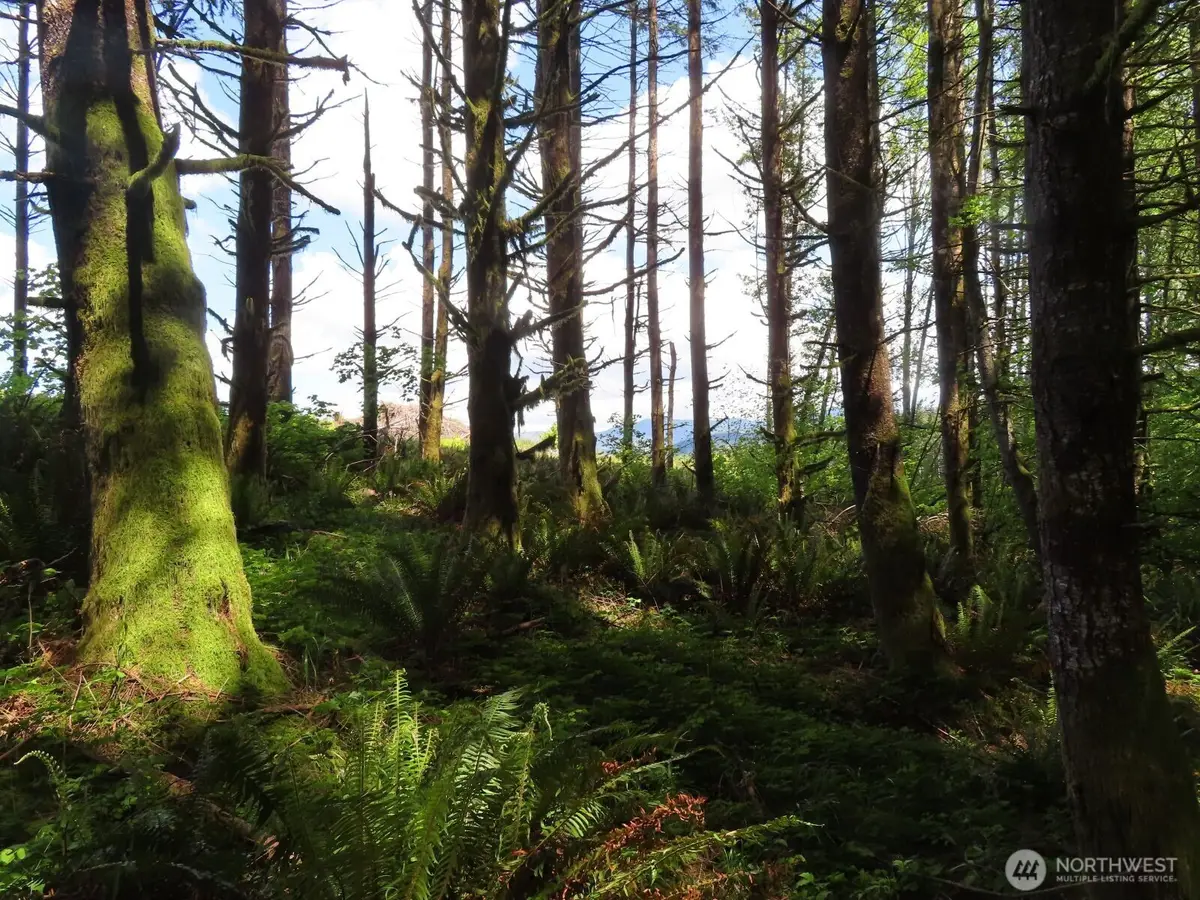 0 Hockett Road, Onalaska, WA 98570 - #1