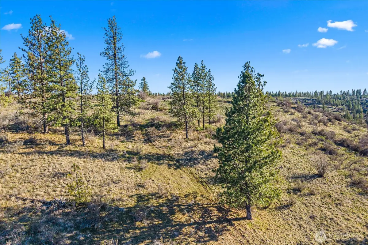 27220 Underwood Canyon, Creston, WA 99117 - #1