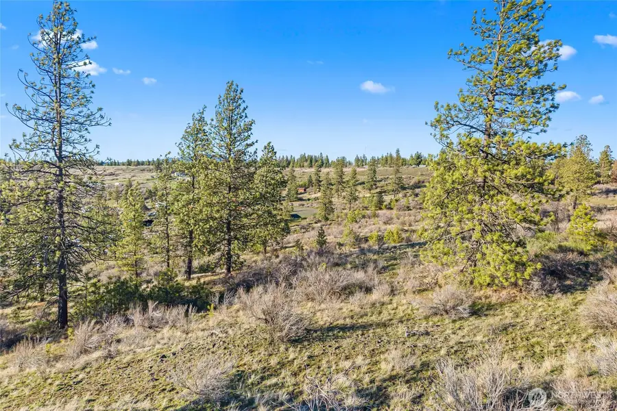 27220 Underwood Canyon, Creston, WA 99117 - #2