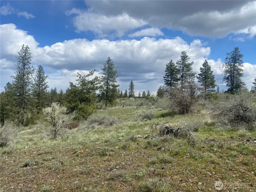 27220 Underwood Canyon, Creston, WA 99117 - #3