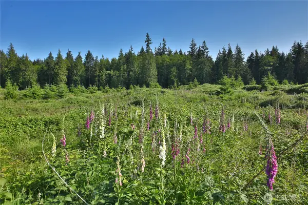 2062 Goodell Road #2, Freeland, WA 98249