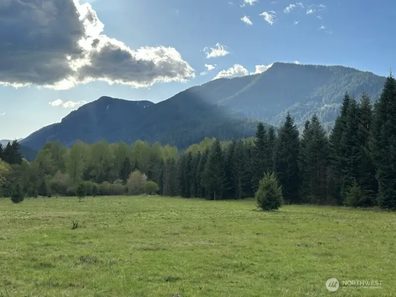 171 Baker Road, Randle, WA 98377 - #2