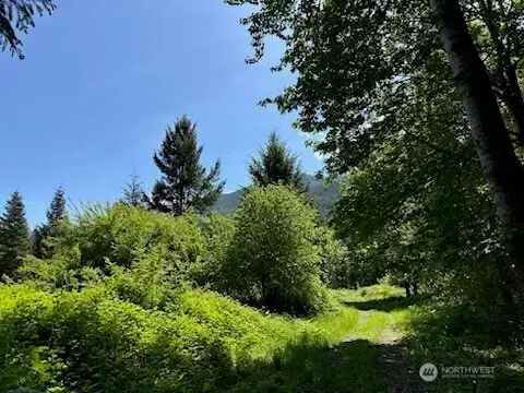 171 Baker Road, Randle, WA 98377 - #3