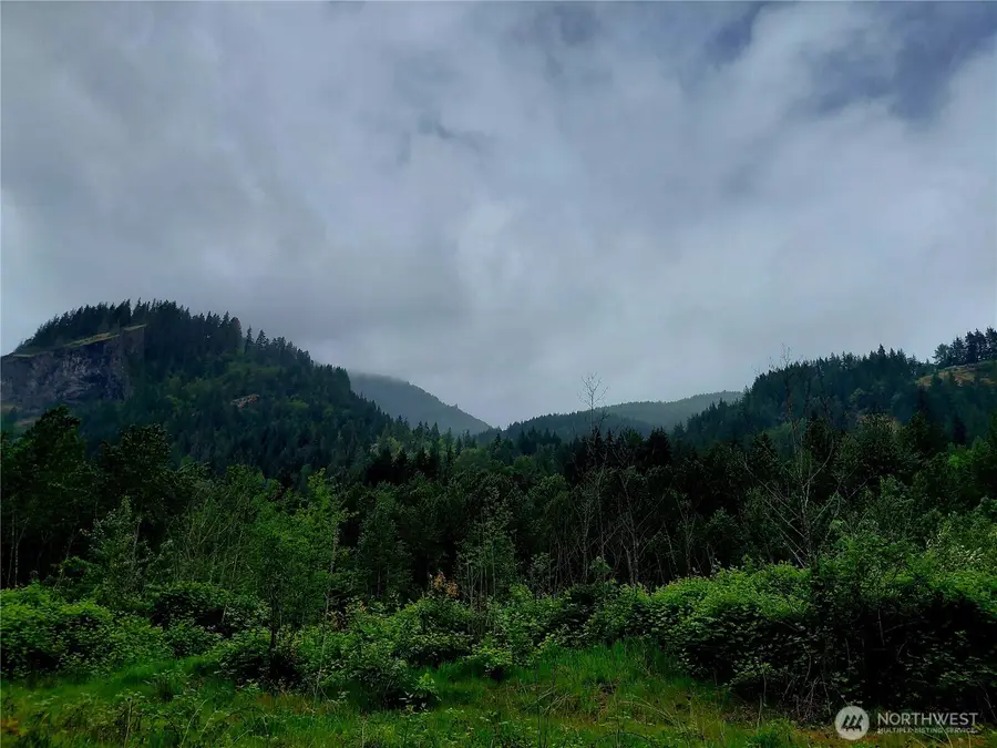 0 Highway 12, Randle, WA 98377 - #2