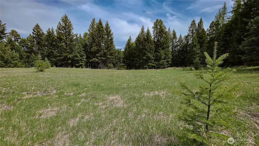 196 Davies Road, Oroville, WA 98844 - #3