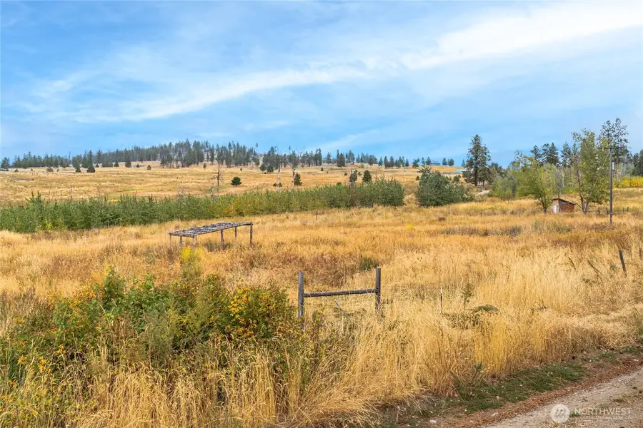 154 Knox Road, Riverside, WA 98849 - #2