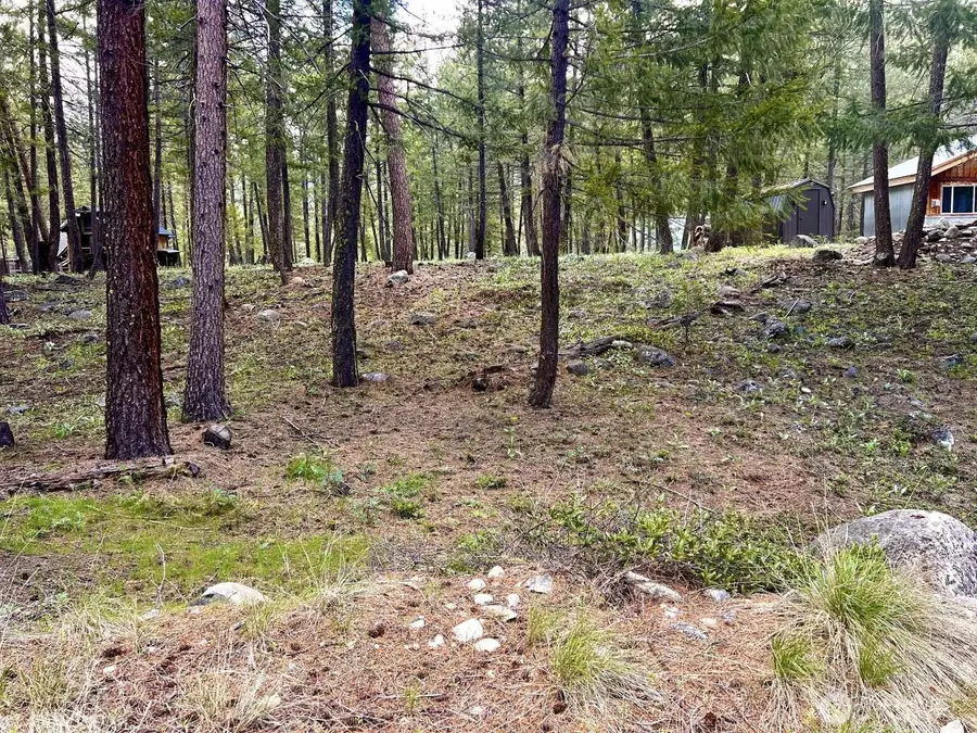 35 Emerson Road, Mazama, WA 98833 - #2